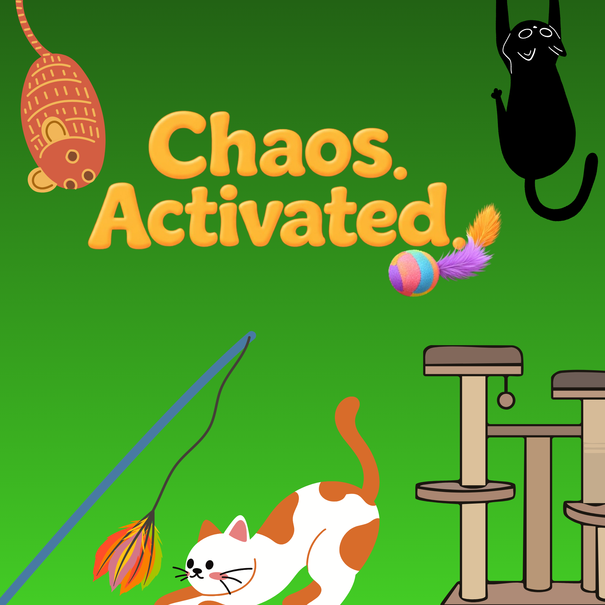 Cat Toys