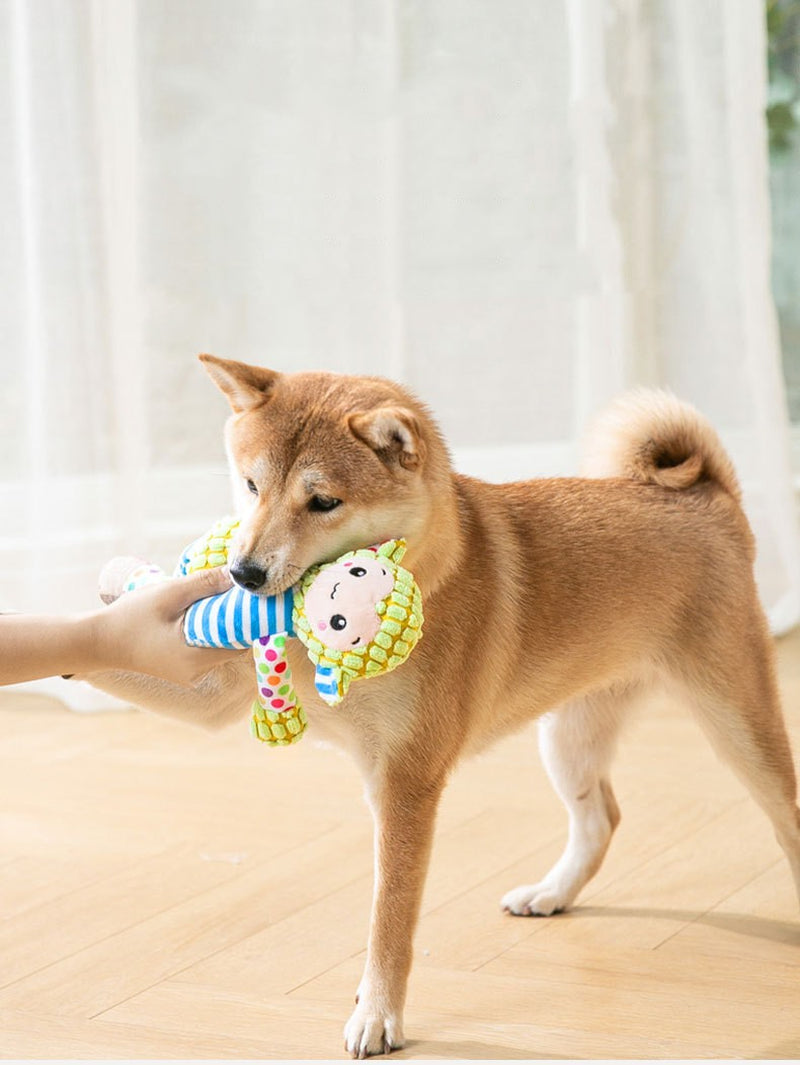Splicing Plush Small and Medium-Sized Dog Training Molar Toys