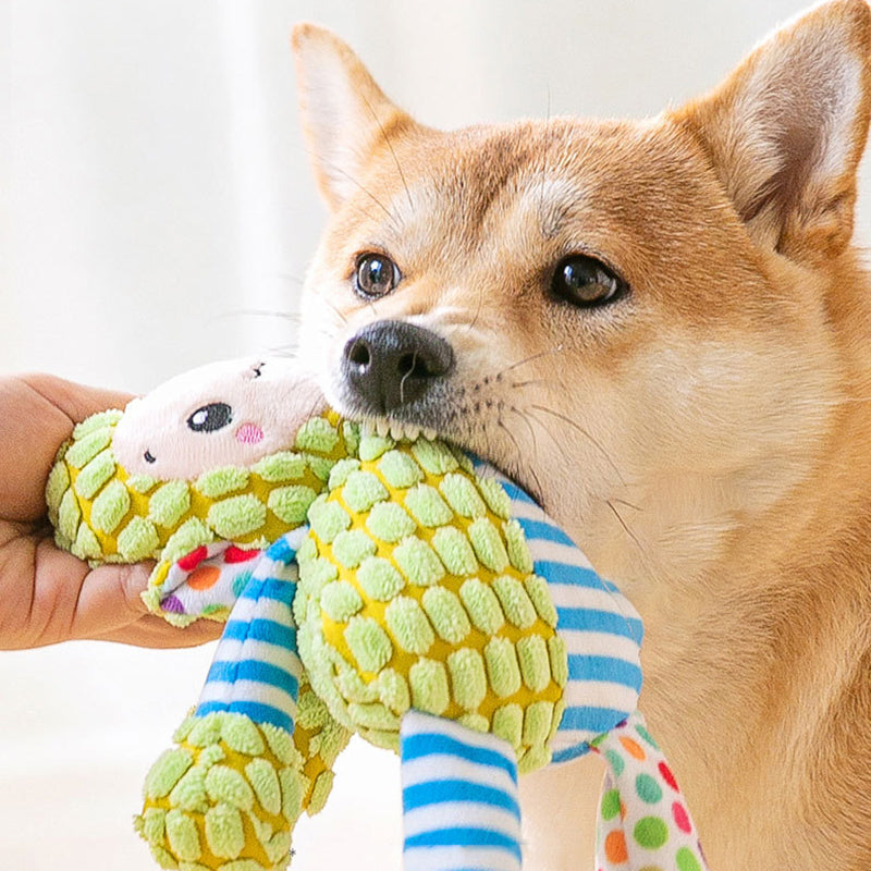 Splicing Plush Small and Medium-Sized Dog Training Molar Toys
